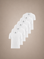 Prime Fit 6er-Pack